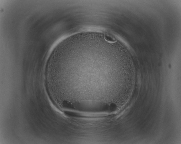 X0000086271471200704051257