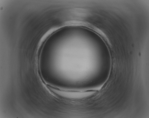 X0000086271472200704051257