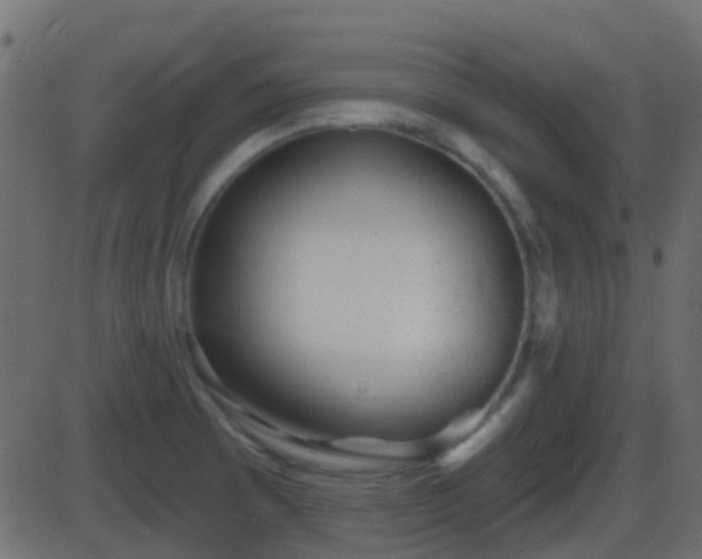 X0000086271473200704051257