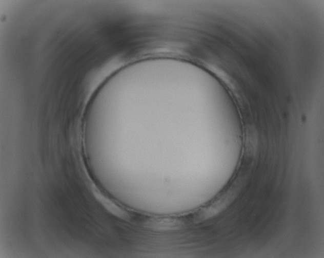 X0000086271474200704051257