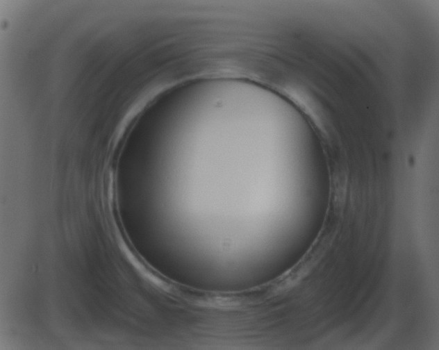 X0000086271476200704051257