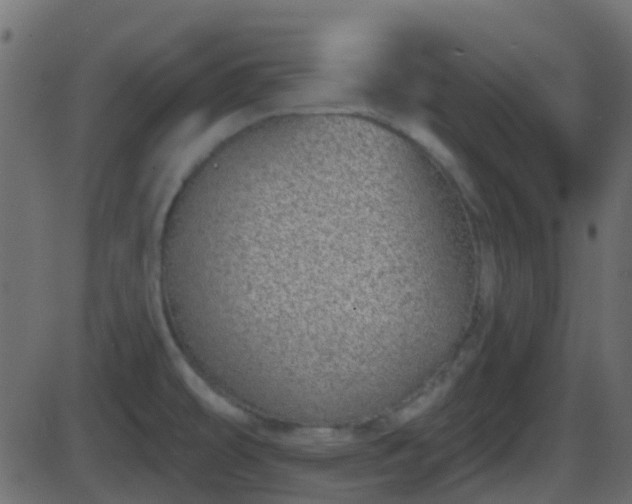 X0000086271478200704051256