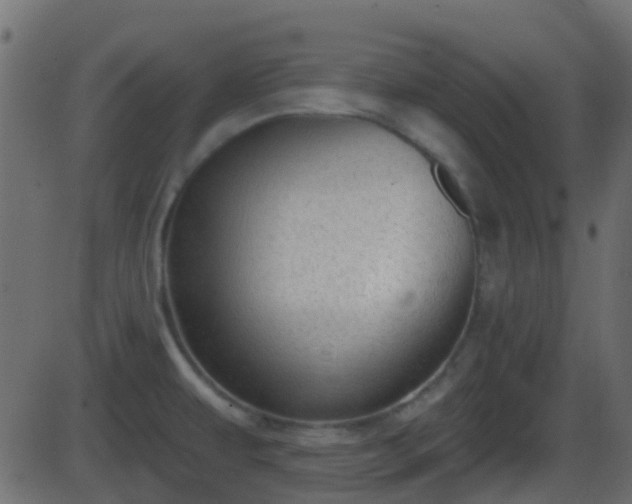 X0000086271479200704051256