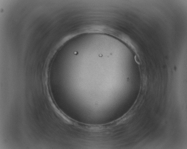 X0000086271480200704051256