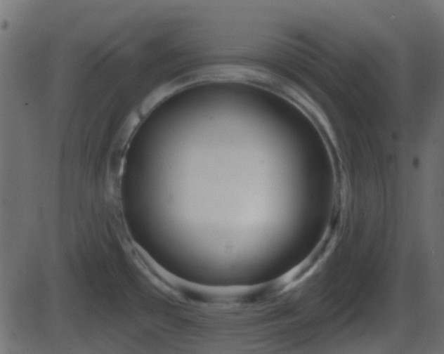 X0000086271481200704051256