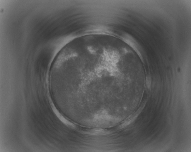 X0000086271482200704051256