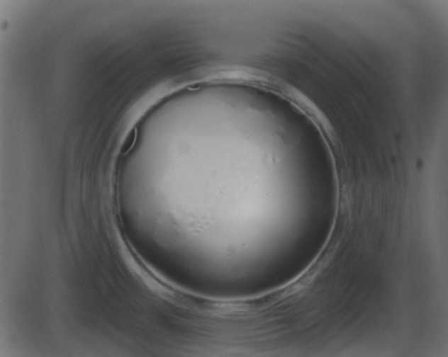 X0000086271483200704051256