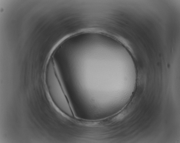 X0000086271484200704051256