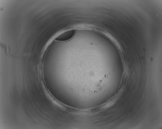 X0000086271486200704051256