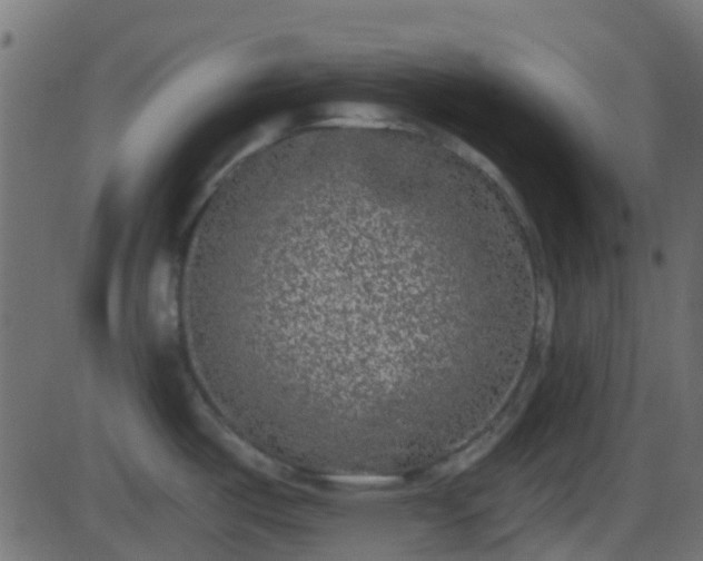 X0000086271487200704051256