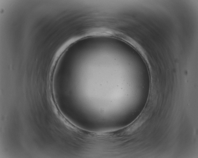 X0000086271488200704051256