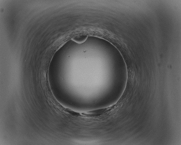 X0000086271489200704051256