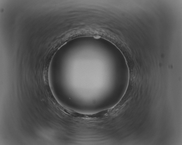 X0000086271490200704051256