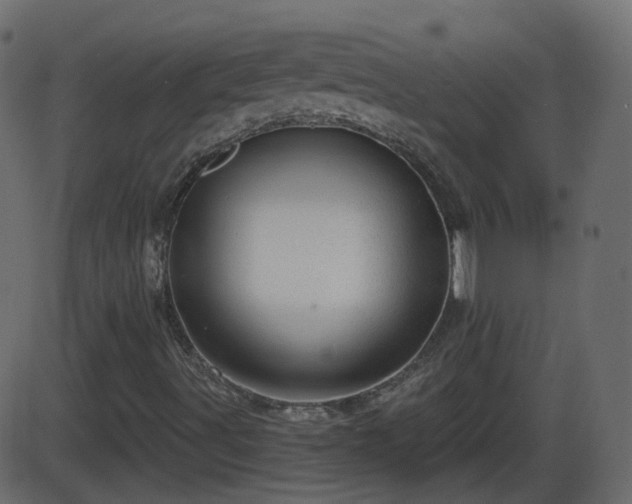 X0000086271491200704051256