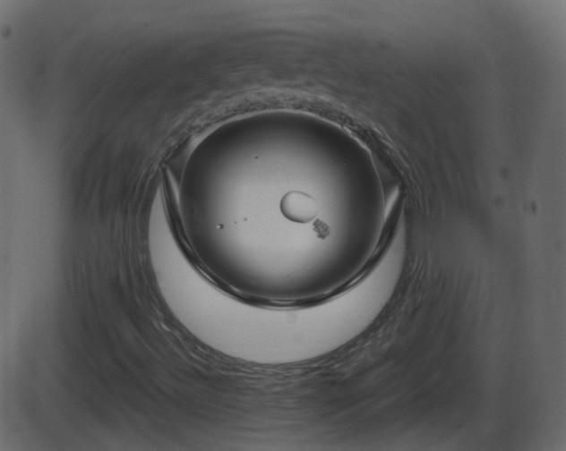 X0000086271492200704051256