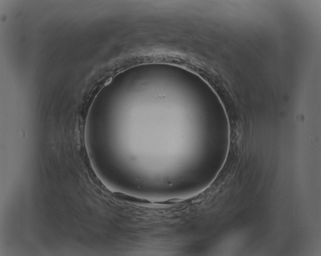 X0000086271493200704051256