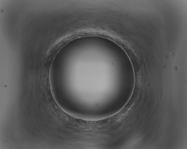 X0000086271494200704051256