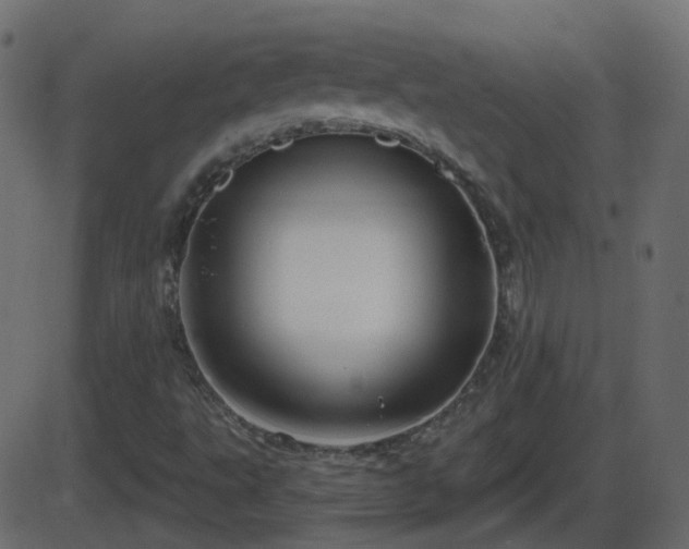 X0000086271495200704051256