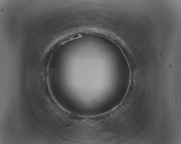 X0000086271496200704051256