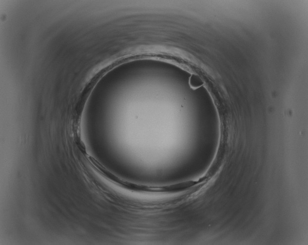 X0000086271497200704051256