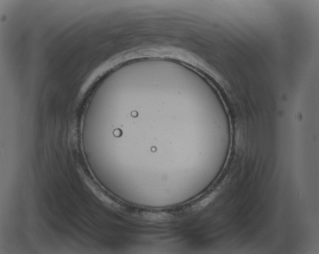 X0000086271498200704051256