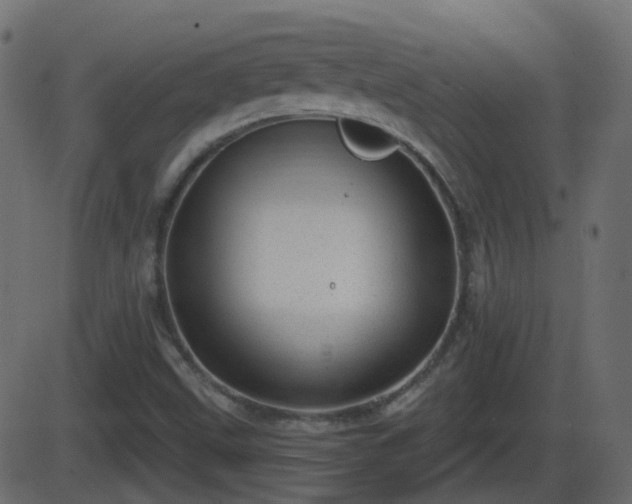 X0000086271499200704051256