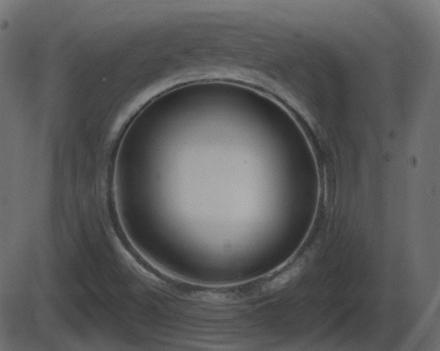 X0000086271500200704051256