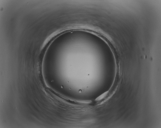 X0000086271501200704051256