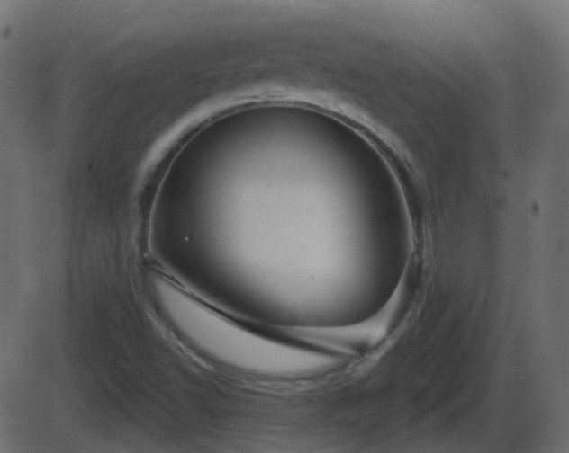 X0000086271502200704051256