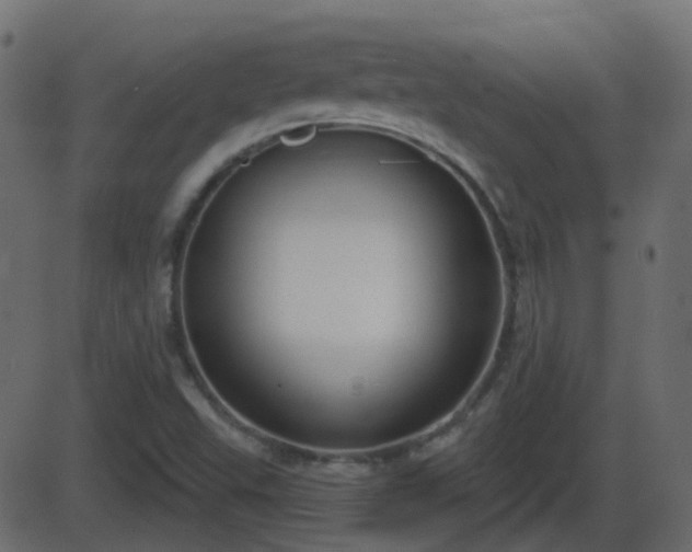 X0000086271503200704051256