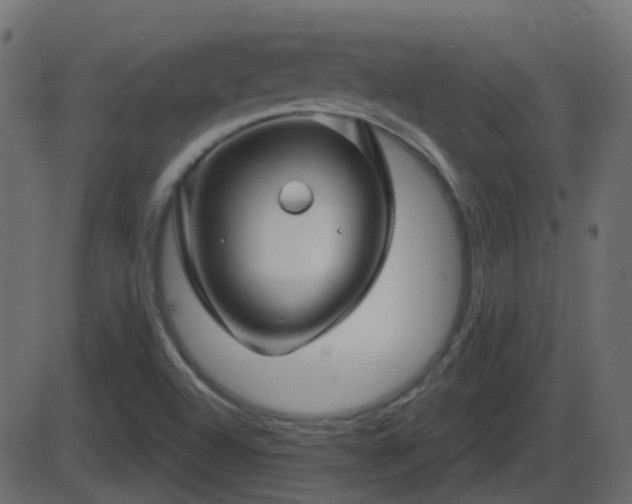 X0000086271504200704051256