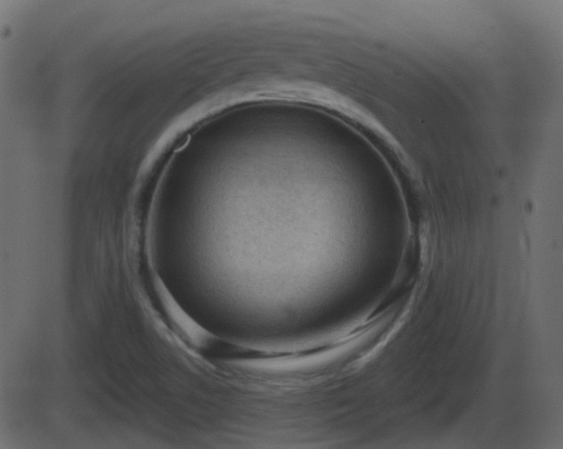 X0000086271506200704051256