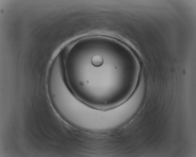 X0000086271508200704051256