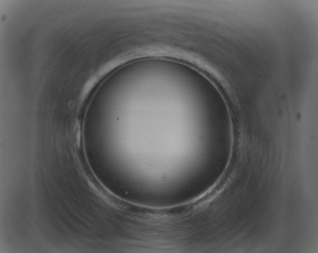 X0000086271509200704051256