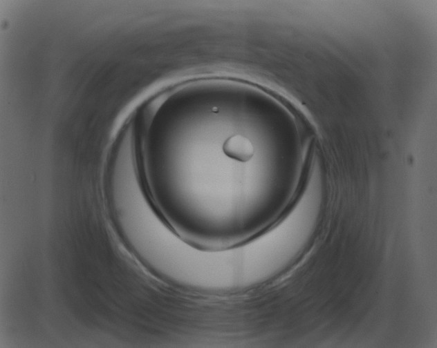 X0000086271510200704051256