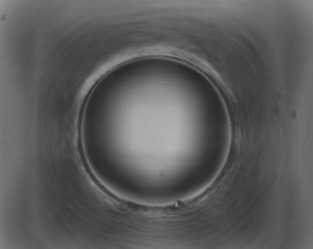 X0000086271512200704051256