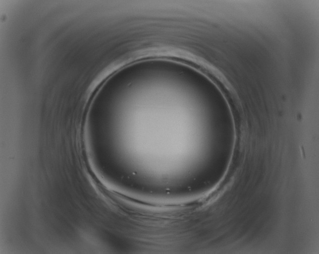 X0000086271513200704051256