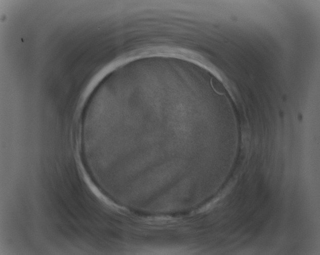 X0000086271515200704051256