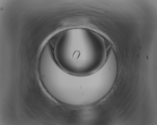 X0000086271518200704051256