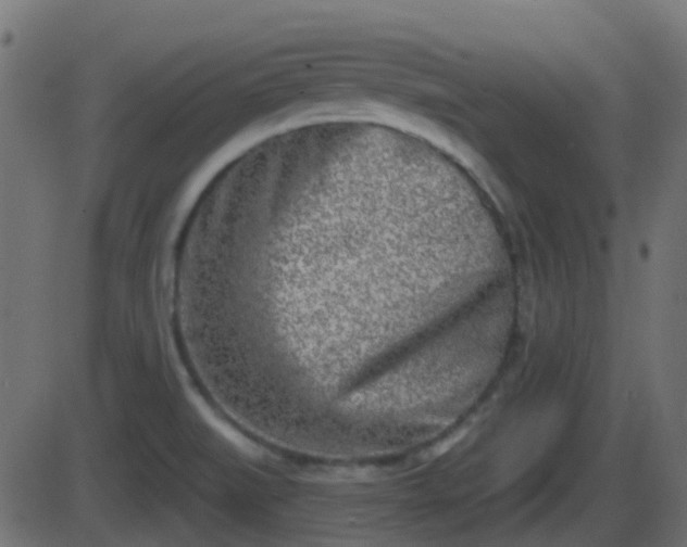 X0000086271519200704051256