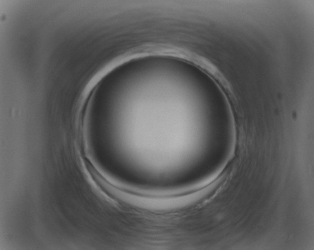 X0000086271520200704051256