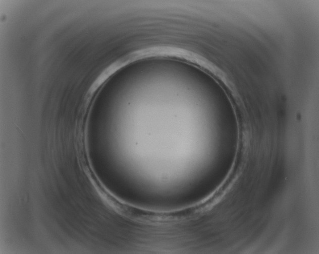 X0000086271521200704051256