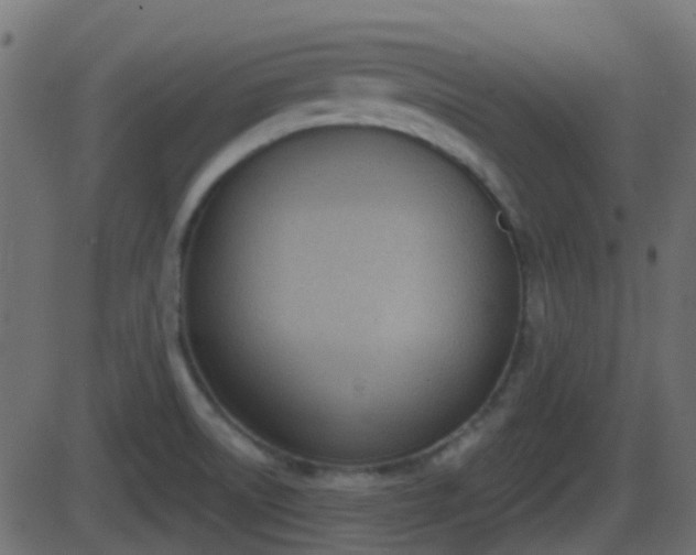 X0000086271522200704051256