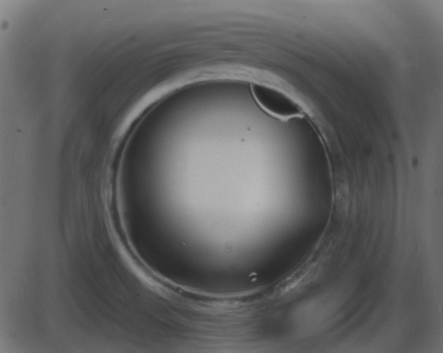 X0000086271523200704051256