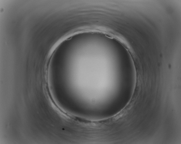 X0000086271524200704051256