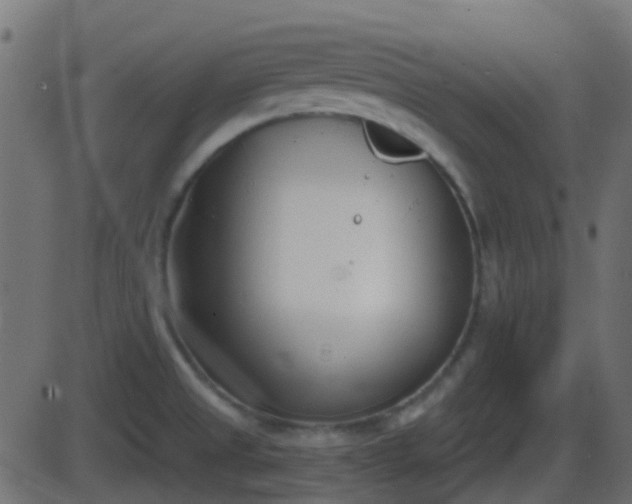 X0000086271525200704051256