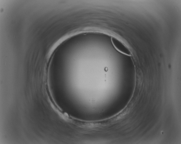 X0000086271527200704051256