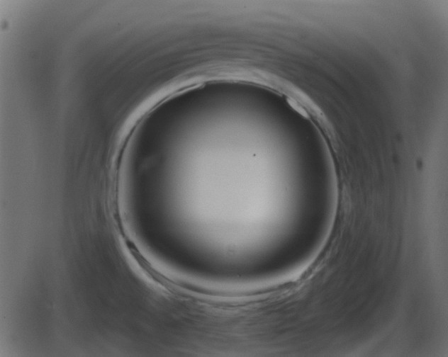 X0000086271528200704051256