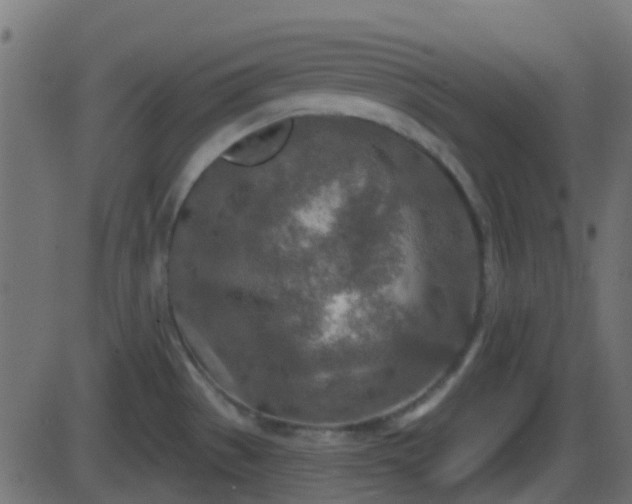 X0000086271529200704051256