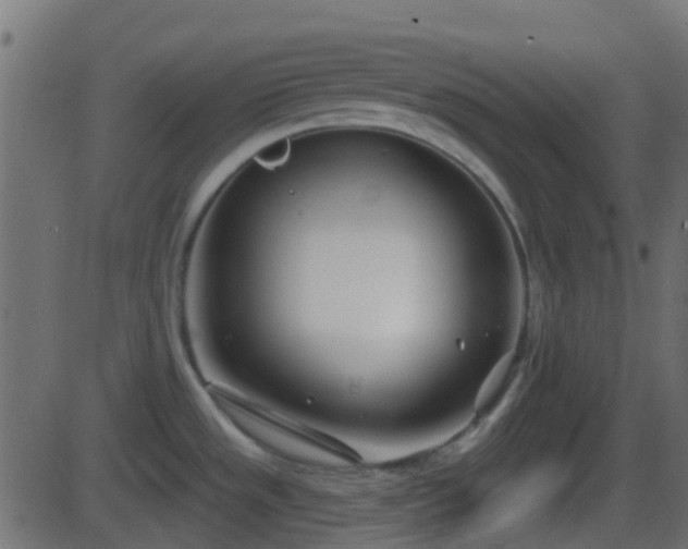 X0000086271533200704051256